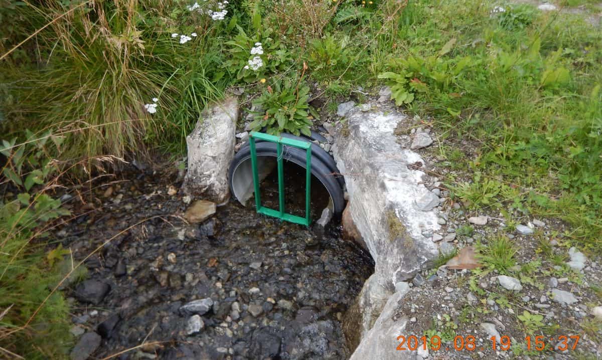 Kritisk punkt - rist